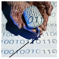 Software Development